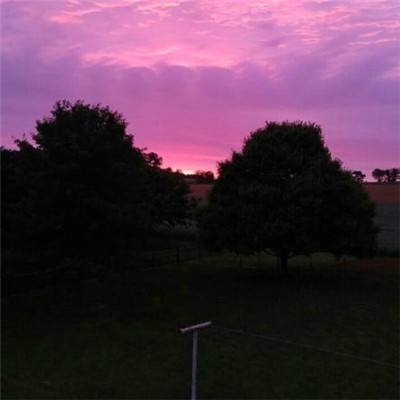 2023年新澳门今晚开特马下载手机版